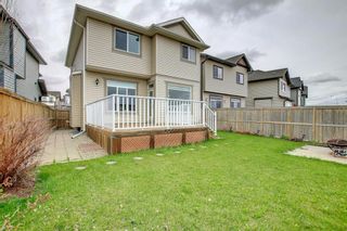 Photo 47: 237 Panton Way NW in Calgary: Panorama Hills Detached for sale : MLS®# A1217303