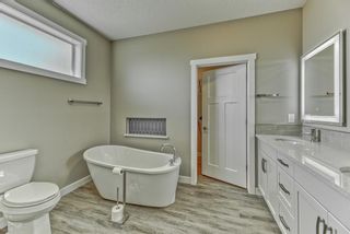 Photo 29: 114 SPEARGRASS Close: Carseland Detached for sale : MLS®# A1089929