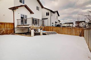 Photo 31: 10 PRAIRIE SPRINGS Bay SW: Airdrie Detached for sale : MLS®# C4285641