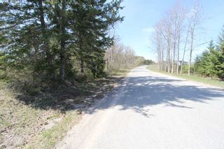 Photo 8: 259 County Rd 41 Road in Kawartha Lakes: Rural Bexley Property for sale : MLS®# X5210398