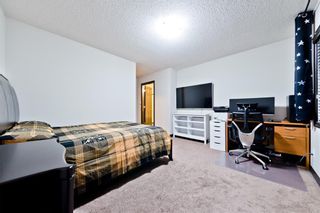 Photo 25: 127 SKYVIEW SPRINGS MR NE in Calgary: Skyview Ranch House for sale : MLS®# C4232076