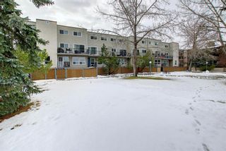 Photo 37: 216 3615B 49 Street NW in Calgary: Varsity Apartment for sale : MLS®# A1209708