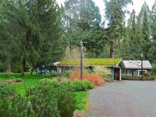 Photo 5: 24138 FERN Crescent in Maple Ridge: Silver Valley House for sale in "Silver Valley" : MLS®# R2043047