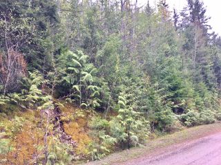 Photo 17: 3,4,6 Armstrong Road in Eagle Bay: Vacant Land for sale : MLS®# 10133907