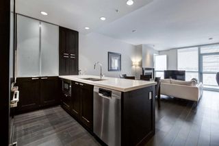 Photo 17: 1112 222 Riverfront Avenue SW in Calgary: Chinatown Apartment for sale : MLS®# A2101414