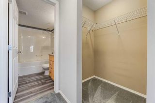 Photo 23: 1210 115 Prestwick Villas SE in Calgary: McKenzie Towne Apartment for sale : MLS®# A2125964
