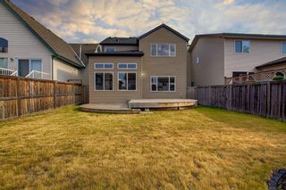 Photo 36: 132 Copperfield Green SE in Calgary: Copperfield Detached for sale : MLS®# A1254578