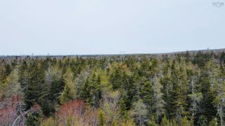 Photo 16: NO 3 Highway in Upper Woods Harbour: 407-Shelburne County Vacant Land for sale (South Shore)  : MLS®# 202309286