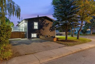 Photo 36: 10011 Warren Road SE in Calgary: Willow Park Detached for sale : MLS®# A1162186