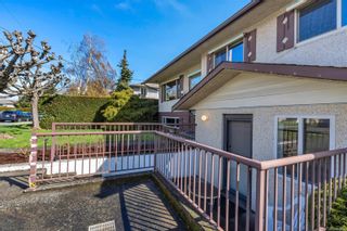 Photo 24: 3949 Ansell Rd in Saanich: SE Mt Tolmie House for sale (Saanich East)  : MLS®# 898529