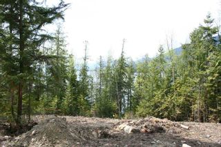 Photo 6: 4533 Rea Road in Eagle Bay: Waterfront Lot Land Only for sale : MLS®# 10058088