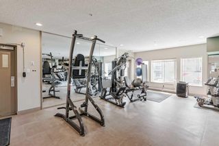 Photo 18: 437 20 Discovery Ridge Close SW in Calgary: Discovery Ridge Apartment for sale : MLS®# A2129633