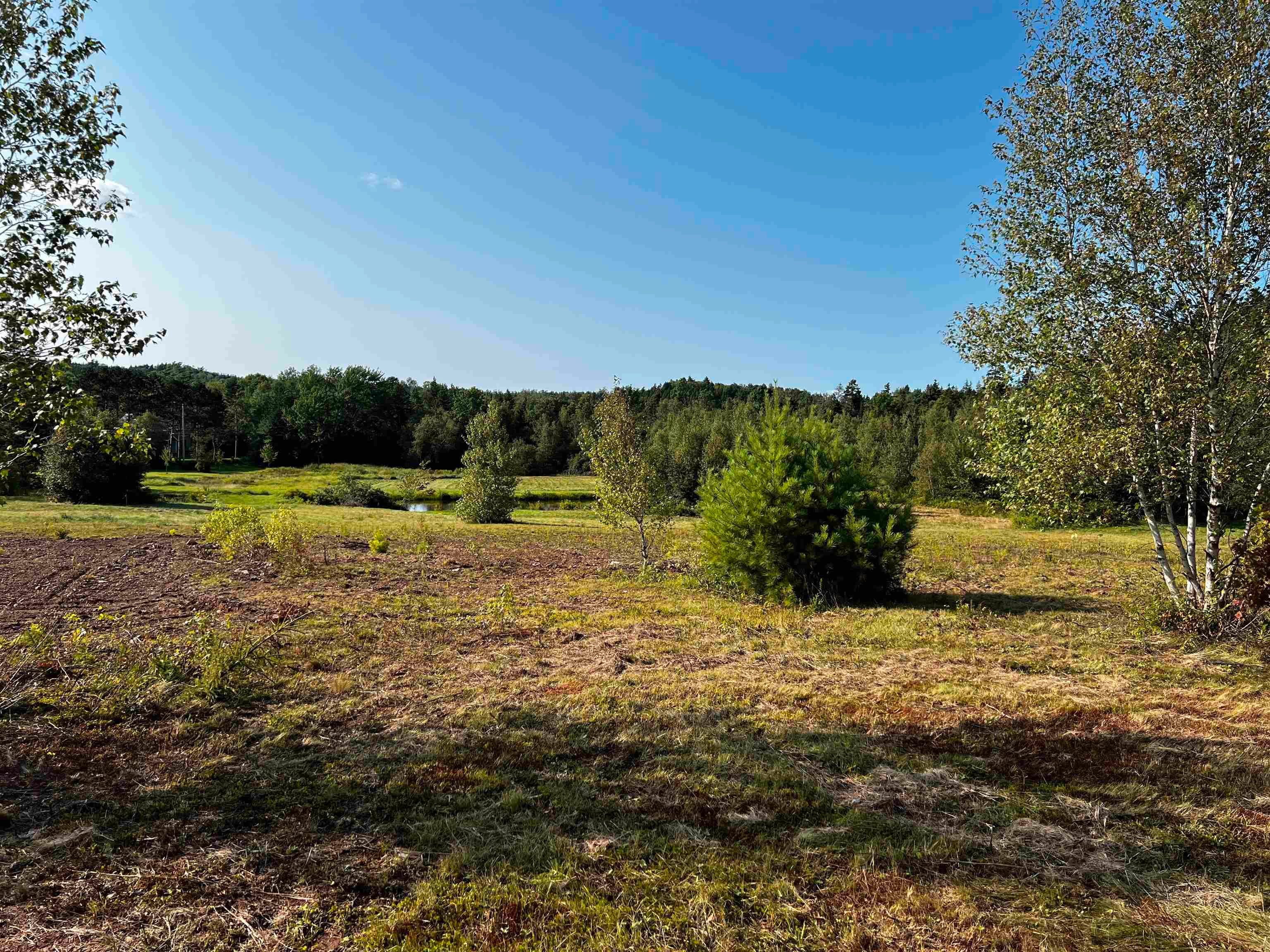 Main Photo: 13 acres Park Falls Road in Sutherlands River: 108-Rural Pictou County Vacant Land for sale (Northern Region)  : MLS®# 202318644