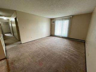 Photo 7: 108 420 Columbia Boulevard W: Lethbridge Apartment for sale : MLS®# A2001307