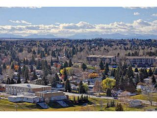 Photo 16: 914 8710 HORTON Road SW in CALGARY: Haysboro Condo for sale (Calgary)  : MLS®# C3614916