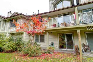Photo 19: 30 22740 116 Avenue in Maple Ridge: East Central Townhouse for sale : MLS®# R2220079