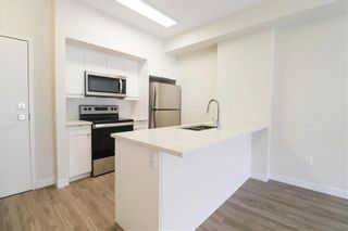 Photo 6: 316 50 Philip Lee Drive in Winnipeg: Crocus Meadows Condominium for sale (3K)  : MLS®# 202122063