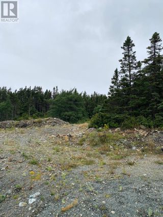 Photo 4: 52 Micnoel Place in Pouch Cove: Vacant Land for sale : MLS®# 1265723