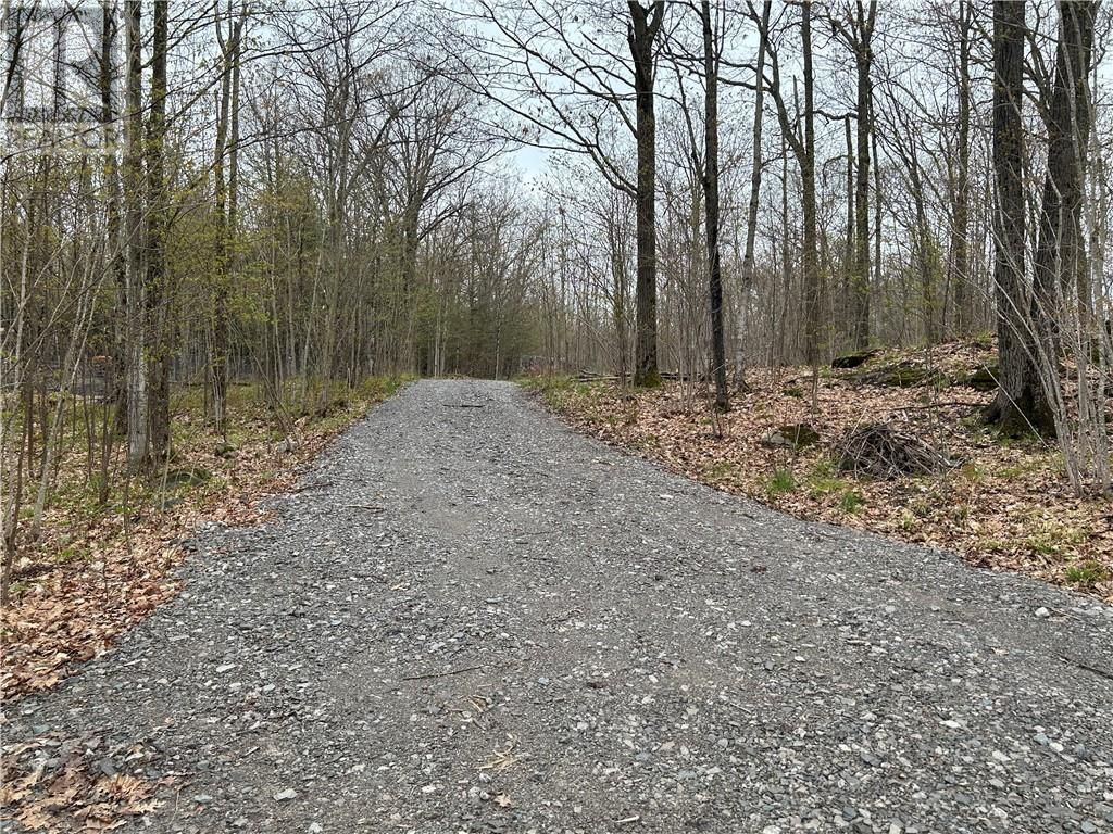 Main Photo: 1382 COUNTY ROAD 36 ROAD in Bobcaygeon: Vacant Land for sale : MLS®# 1339750