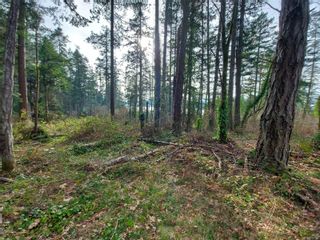 Photo 6: 00 Derrick Rd in North Saanich: NS Deep Cove Land for sale : MLS®# 894426