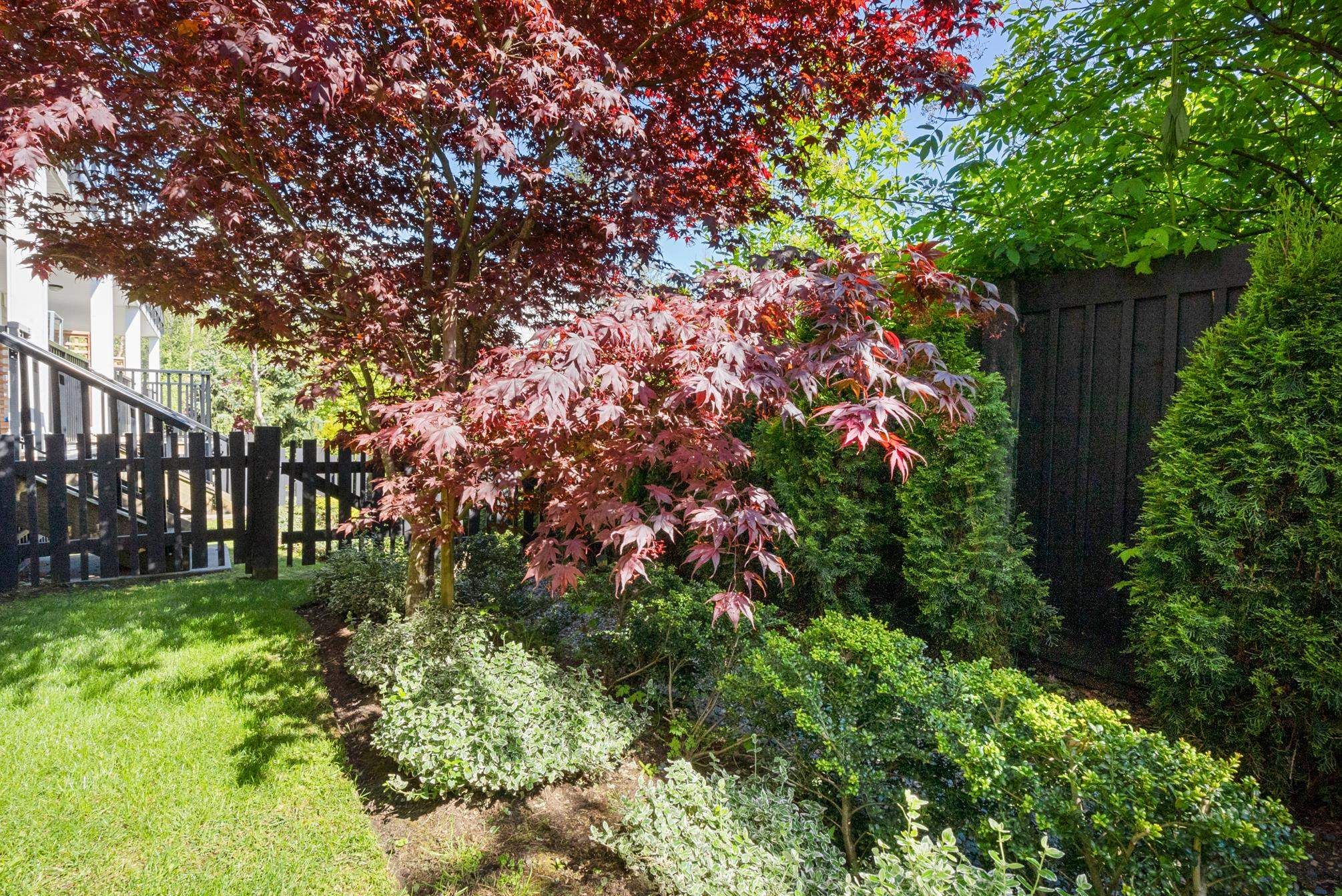 Main Photo: 18 21150 76A Avenue in Langley: Willoughby Heights Townhouse for sale in "Hutton" : MLS®# R2691487