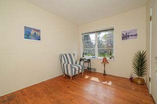 Photo 9: 915 WENTWORTH Avenue in North Vancouver: Forest Hills NV House for sale : MLS®# R2868173