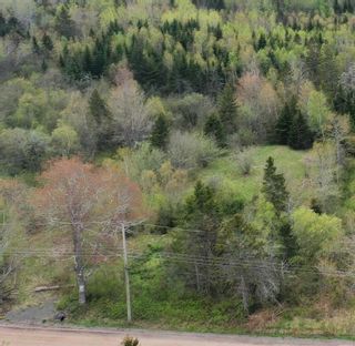 Photo 3: 1027 Alders Road in Canaan: Kings County Vacant Land for sale (Annapolis Valley)  : MLS®# 202216881