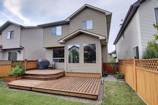 Photo 38:  in Calgary: Cranston Detached for sale : MLS®# A1024102