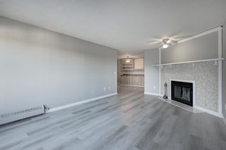 Photo 7: 406 333 Garry Crescent NE in Calgary: Greenview Apartment for sale : MLS®# A2024776