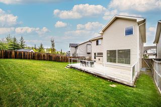 Photo 4: 267 Springborough Way SW in Calgary: Springbank Hill Detached for sale : MLS®# A1222318