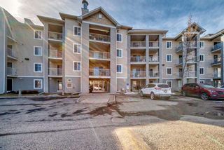 Photo 1: 3306 1620 70 Street SE in Calgary: Applewood Park Apartment for sale : MLS®# A2123526