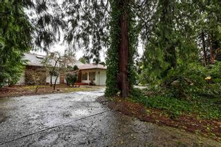 Photo 2: 21549 124 Avenue in Maple Ridge: West Central House for sale in "Shady Lane" : MLS®# R2746723