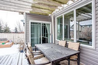 Photo 29: 691 COPPERPOND Circle SE in Calgary: Copperfield Detached for sale : MLS®# A1063241