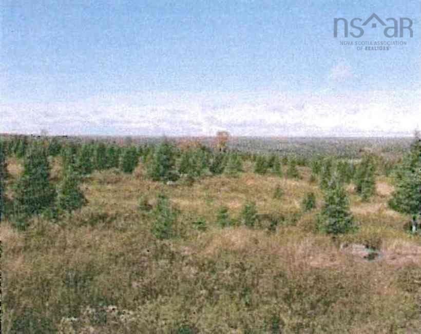 Main Photo: East River East Side Road in Springville: 108-Rural Pictou County Vacant Land for sale (Northern Region)  : MLS®# 202205341