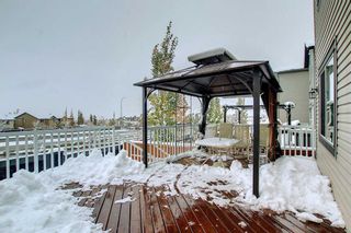 Photo 37: 156 Nolanfield Way NW in Calgary: Nolan Hill Detached for sale : MLS®# A2048088