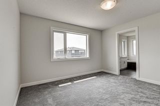 Photo 30: 216 Red Sky Terrace NE in Calgary: Redstone Detached for sale : MLS®# A1125516