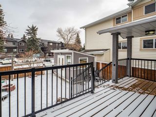 Photo 26: 4632 77 Street NW in Calgary: Bowness Detached for sale : MLS®# A1189686