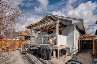 Photo 36: 15195 Prestwick Boulevard SE in Calgary: McKenzie Towne Detached for sale : MLS®# A1194269