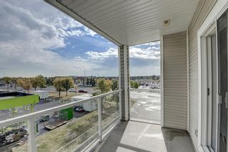 Photo 14: 319 290 Shawville Way SE in Calgary: Shawnessy Apartment for sale : MLS®# A2003821