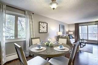 Photo 27: 303 130 25 Avenue SW in Calgary: Mission Apartment for sale : MLS®# A1023034