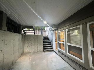Photo 2: BSMT 11176 157 Street in Surrey: Fraser Heights House for rent