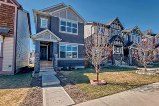 Main Photo: 249 Skyview Ranch Boulevard NE in Calgary: Skyview Ranch Detached for sale : MLS®# A2124901
