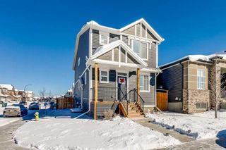 Main Photo: 161 Lucas Crescent NW in Calgary: Livingston Detached for sale : MLS®# A2113405