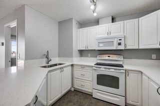 Photo 6: 323 428 Chaparral Ravine View SE in Calgary: Chaparral Apartment for sale : MLS®# A2120953