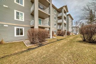 Photo 31: 5105 604 8 Street SW: Airdrie Apartment for sale : MLS®# A2121863