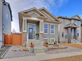 Photo 31: 93 Elgin Meadows Circle SE in Calgary: McKenzie Towne Detached for sale : MLS®# A1199353