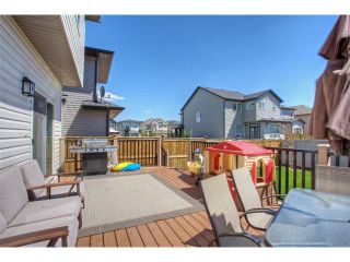 Photo 19: 258 HILLCREST Circle SW: Airdrie House for sale : MLS®# C4016316