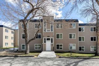 Main Photo: 304 315 Heritage Drive SE in Calgary: Acadia Apartment for sale : MLS®# A2124299