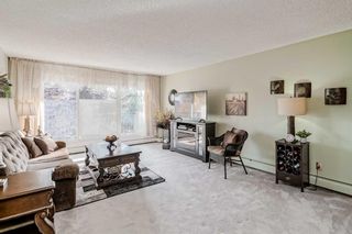 Photo 4: 14A 231 Heritage Drive SE in Calgary: Acadia Apartment for sale : MLS®# A2078508