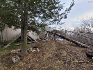 Photo 9: 1372 Hardwood Hill Road in Hardwood Hill: 108-Rural Pictou County Vacant Land for sale (Northern Region)  : MLS®# 202301413